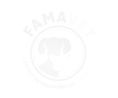 Frame 63